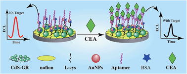 Graphical abstract: Aptasensor based on tripetalous cadmium sulfide-graphene electrochemiluminescence for the detection of carcinoembryonic antigen