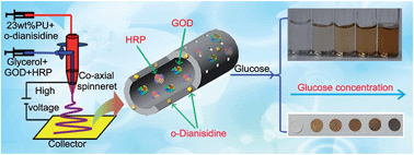 Graphical abstract: “Ready-to-use” hollow nanofiber membrane-based glucose testing strips