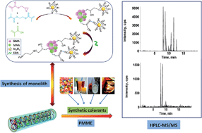 Graphical abstract: Rapid identification of synthetic colorants in food samples by using indium oxide nanoparticle-functionalized porous polymer monolith coupled with HPLC-MS/MS