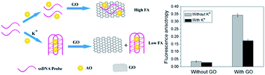 Graphical abstract: Graphene oxide amplified fluorescence anisotropy for label-free detection of potassium ion