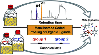 Graphical abstract: Metallophore mapping in complex matrices by metal isotope coded profiling of organic ligands