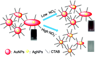 Graphical abstract: A colorimetric nitrite detection system with excellent selectivity and high sensitivity based on Ag@Au nanoparticles