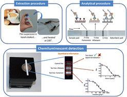 Graphical abstract: A multiplex chemiluminescent biosensor for type B-fumonisins and aflatoxin B1 quantitative detection in maize flour