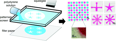 Graphical abstract: One-step polymer screen-printing for microfluidic paper-based analytical device (μPAD) fabrication