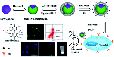 Graphical abstract: Dual-modal imaging and photodynamic therapy using upconversion nanoparticles for tumor cells