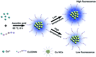Graphical abstract: Green synthesis of peptide-templated fluorescent copper nanoclusters for temperature sensing and cellular imaging