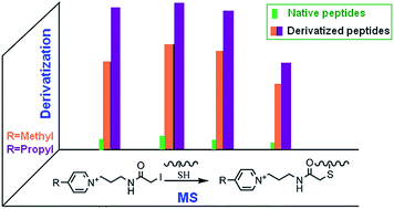Graphical abstract: Novel pyridinium-based tags: synthesis and characterization for highly efficient analysis of thiol-containing peptides by mass spectrometry