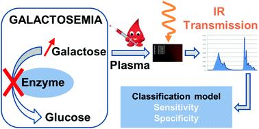 Graphical abstract: Rapid screening of classic galactosemia patients: a proof-of-concept study using high-throughput FTIR analysis of plasma