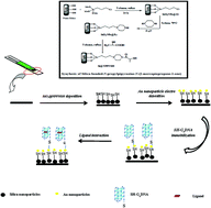 Graphical abstract: A human telomeric G-quadruplex-based electronic nanoswitch for the detection of anticancer drugs