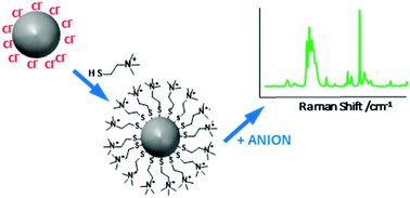 Graphical abstract: Simple preparation of positively charged silver nanoparticles for detection of anions by surface-enhanced Raman spectroscopy