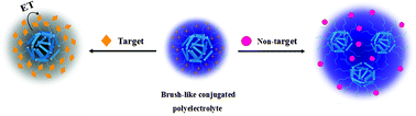 Graphical abstract: Monodispersed nanoparticles of conjugated polyelectrolyte brush with high charge density for rapid, specific and label-free detection of tumor marker