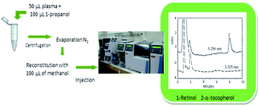 Graphical abstract: A simple microHPLC-UV method for the simultaneous determination of retinol and α-tocopherol in human plasma. Application to intrahepatic cholestasis of pregnancy