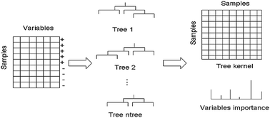 Graphical abstract: Kernel k-nearest neighbor classifier based on decision tree ensemble for SAR modeling analysis