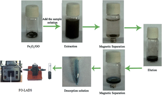 Graphical abstract: Graphene oxide magnetic nanocomposites for the preconcentration of trace amounts of malachite green from fish and water samples prior to determination by fiber optic-linear array detection spectrophotometry