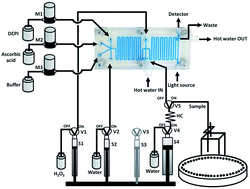 Graphical abstract: An automated in-chip-catalytic–spectrophotometric method for determination of copper(ii) using a multisyringe flow injection analysis-multipumping flow system