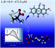 Graphical abstract: Design of an optical sensor for the determination of cysteine based on the spectrophotometric method in a triacetylcellulose film: PC-ANN application