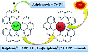 Graphical abstract: Sensitive determination of aripiprazole using chemiluminescence reaction of tris(1,10-phenanthroline)ruthenium(ii) with acidic Ce(iv)