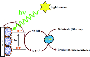 Graphical abstract: Photoelectrochemical glucose biosensor in flow injection analysis system based on glucose dehydrogenase immobilized on poly-hematoxylin modified glassy carbon electrode