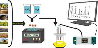 Graphical abstract: Ultrasound-assisted digestion of biodiesel samples for determination of metals by stripping voltammetry