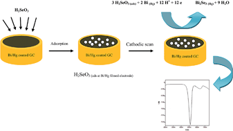 Graphical abstract: Determination of Se(iv) by adsorptive cathodic stripping voltammetry at a Bi/Hg film electrode