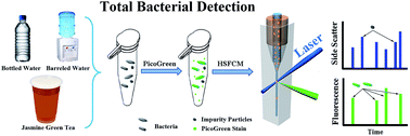 Graphical abstract: Rapid detection and enumeration of total bacteria in drinking water and tea beverages using a laboratory-built high-sensitivity flow cytometer