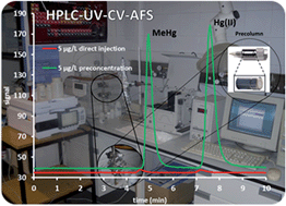 Graphical abstract: Mercury(ii) and methylmercury determination in water by liquid chromatography hyphenated to cold vapour atomic fluorescence spectrometry after online short-column preconcentration
