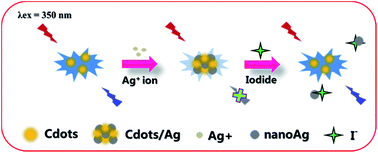 Graphical abstract: A label-free and turn-on fluorescence sensor for sensitive and selective detection of iodide using carbon nanodots/silver nanocomposites