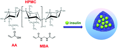 Graphical abstract: HPMC/PAA hybrid nanogels via aqueous-phase synthesis for controlled delivery of insulin