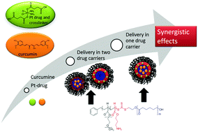 Graphical abstract: Dual-drug delivery of curcumin and platinum drugs in polymeric micelles enhances the synergistic effects: a double act for the treatment of multidrug-resistant cancer