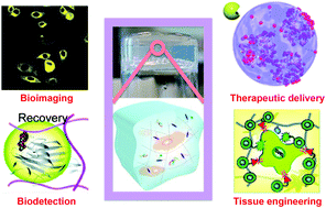 Graphical abstract: Supramolecular hydrogels: synthesis, properties and their biomedical applications