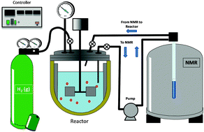 Graphical abstract: Reaction characterization by flow NMR: quantitation and monitoring of dissolved H2via flow NMR at high pressure