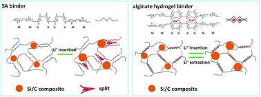 Graphical abstract: A high-performance alginate hydrogel binder for the Si/C anode of a Li-ion battery
