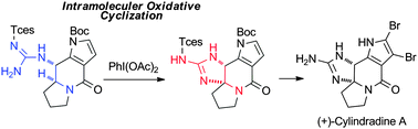 Graphical abstract: Total synthesis of (+)-cylindradine A