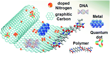 Graphical abstract: Nitrogen-doped carbon nanotubes and graphene composite structures for energy and catalytic applications