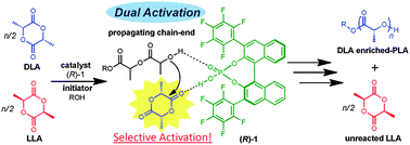 Graphical abstract: Binaphthol-derived phosphoric acids as efficient chiral organocatalysts for the enantiomer-selective polymerization of rac-lactide