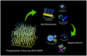 Graphical abstract: Polypeptide films via N-carboxyanhydride ring-opening polymerization (NCA-ROP): past, present and future