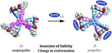 Graphical abstract: Complexation-induced inversion of helicity by an organic guest in a dynamic molecular propeller based on a tristerephthalamide host with a two-layer structure