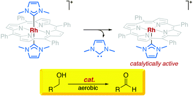 Graphical abstract: Springloaded porphyrin NHC hybrid rhodium(iii) complexes: carbene dissociation and oxidation catalysis