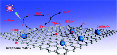 Graphical abstract: A novel amorphous CoSnxOy decorated graphene nanohybrid photocatalyst for highly efficient photocatalytic hydrogen evolution