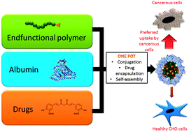 Graphical abstract: Albumin-micelles via a one-pot technology platform for the delivery of drugs