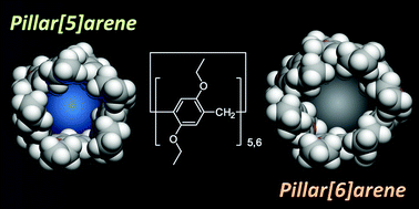 Graphical abstract: Pillar[5]- and pillar[6]arene-based supramolecular assemblies built by using their cavity-size-dependent host–guest interactions