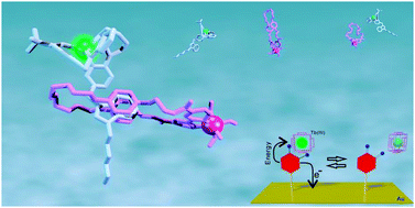 Graphical abstract: Exploiting lanthanide luminescence in supramolecular assemblies