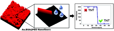 Graphical abstract: Ultrafast on-site selective visual detection of TNT at sub-ppt level using fluorescent gold cluster incorporated single nanofiber