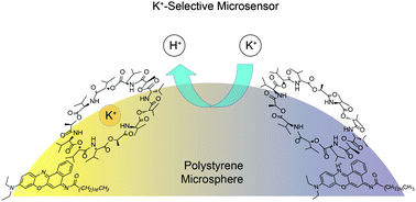 Graphical abstract: Potassium-selective optical microsensors based on surface modified polystyrene microspheres