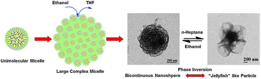 Graphical abstract: Organic nanospheres with an internal bicontinuous structure and their responsive phase inversion