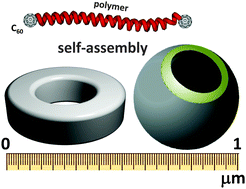 Graphical abstract: Bulky toroidal and vesicular self-assembled nanostructures from fullerene end-capped rod-like polymers