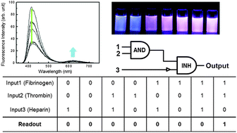 Graphical abstract: The detection of thrombin using a mixture of a fluorescent conjugated polyelectrolyte and fibrinogen and implementation of a logic gate