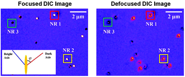 Graphical abstract: Defocused differential interference contrast microscopy imaging of single plasmonic anisotropic nanoparticles