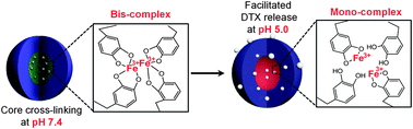 Graphical abstract: pH-Responsive robust polymer micelles with metal–ligand coordinated core cross-links