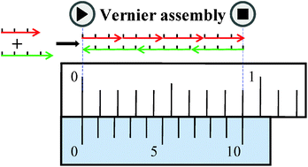 Graphical abstract: Vernier assembly: controlling DNA polymerization via length mismatching